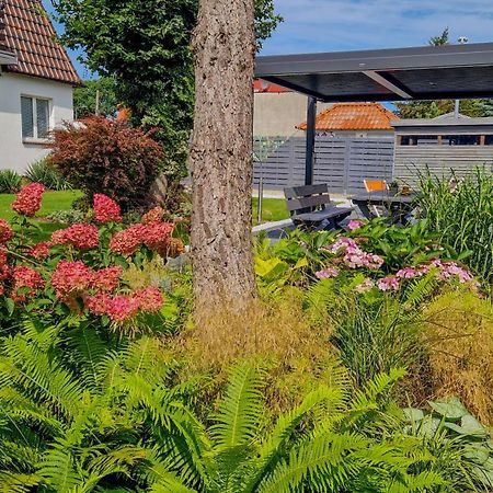 Villa Elefant Мендзиздрое Екстериор снимка